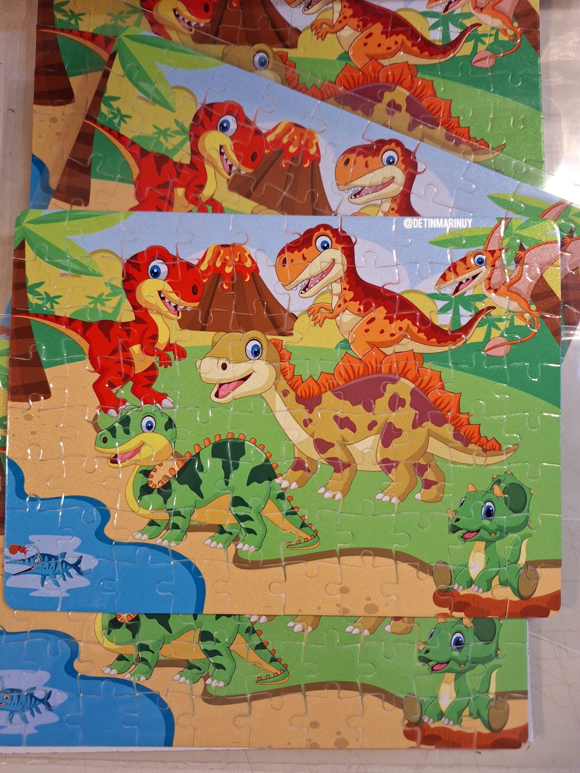 Puzzles de Dinosaurios Personalizados – 80 Piezas