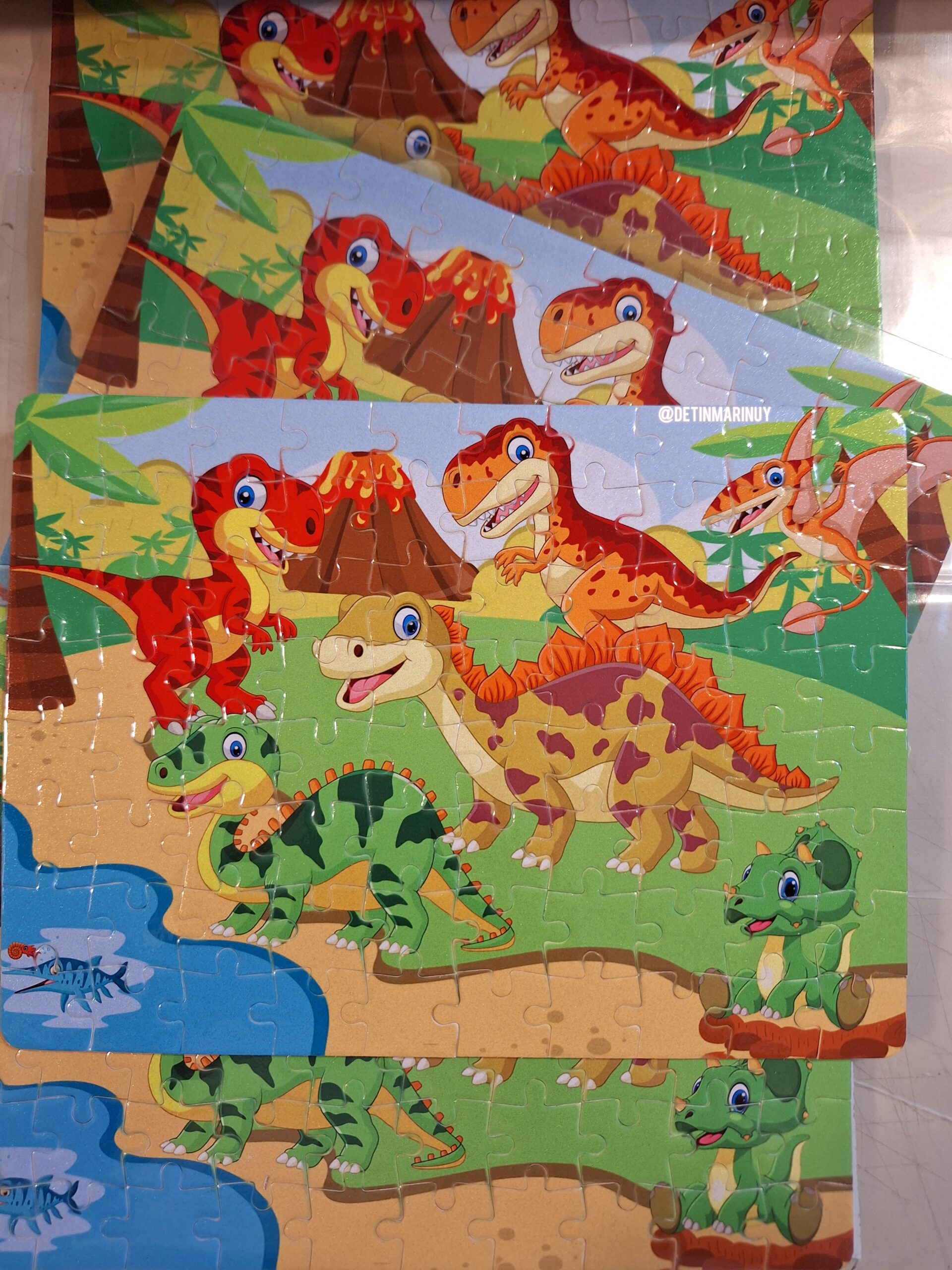 Puzzles de Dinosaurios Personalizados – 80 Piezas - Imagen 4